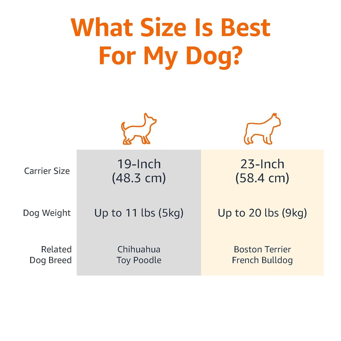 FP Two Door Top Load Pet Carrier, Small Size |19-inch | Portable Airline Pet Carrier for Cats, Puppies and Kitten | Small