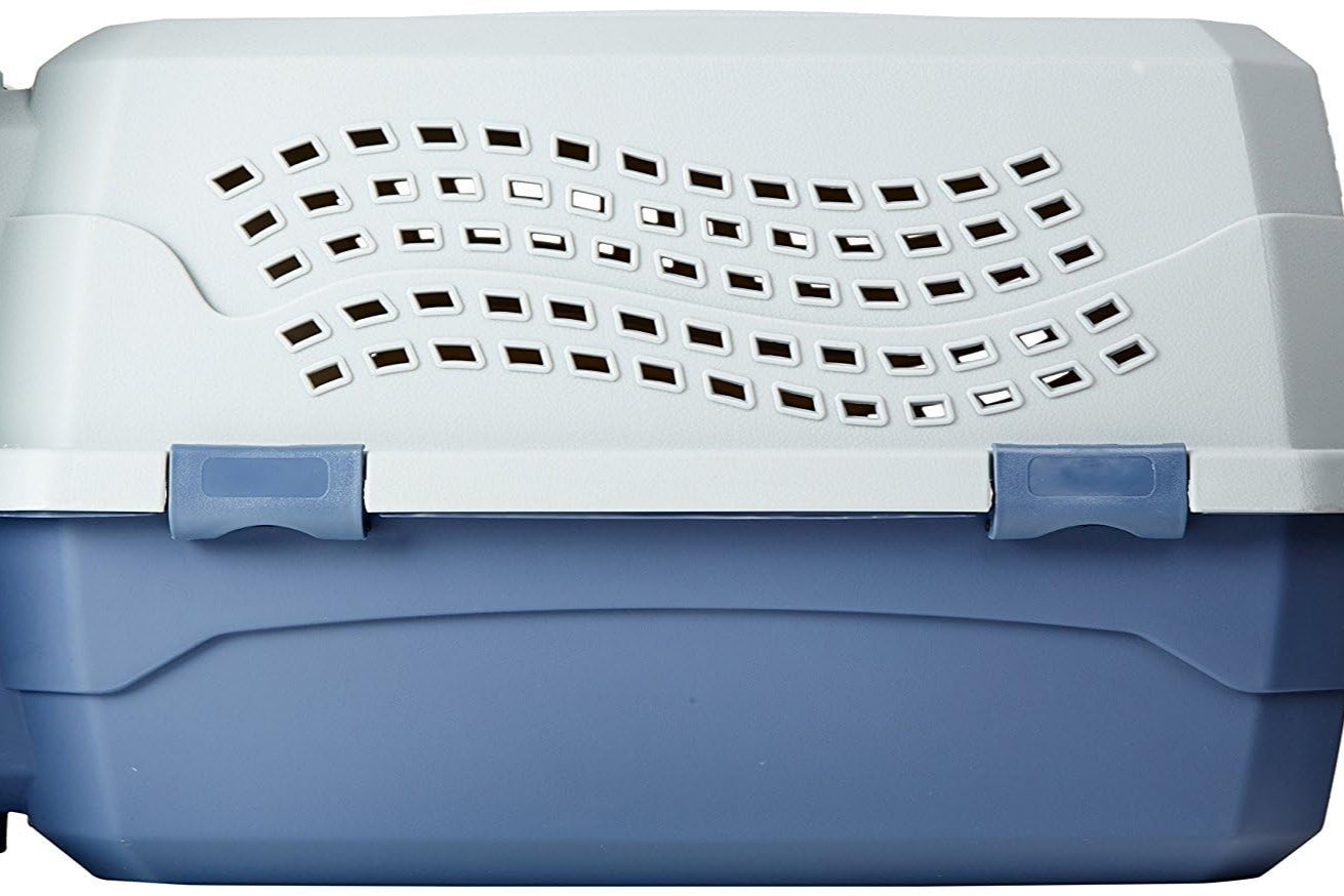 FP Two Door Top Load Pet Carrier, Small Size |19-inch | Portable Airline Pet Carrier for Cats, Puppies and Kitten | Small
