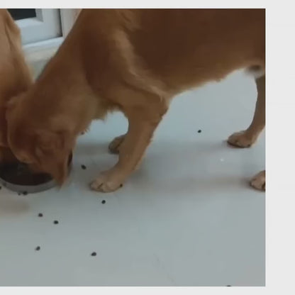 SMRITI Petfoods 100% Vegetarian Dog Food –Multi Nutrients for All Breeds All Age, Rich in Protein & Natural Ingredients