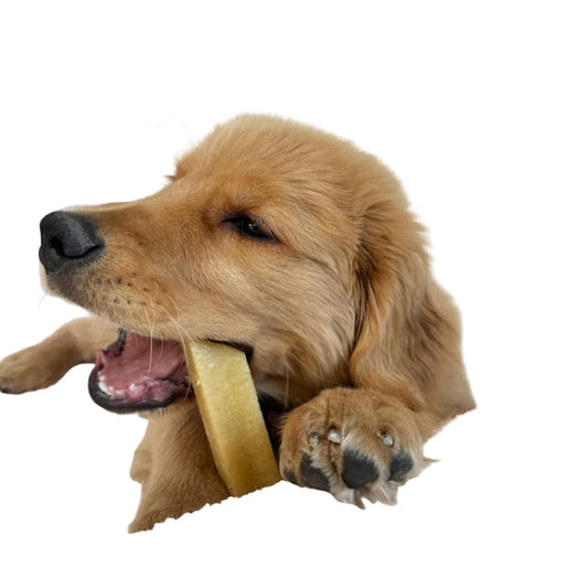 Natural Yak Milk Dog Chew (Pack of 3 Sticks of  9 cm each) – Smriti Pet Foods Yakies | High Protein, Long Lasting, Grain-Free Dental Dog Treat